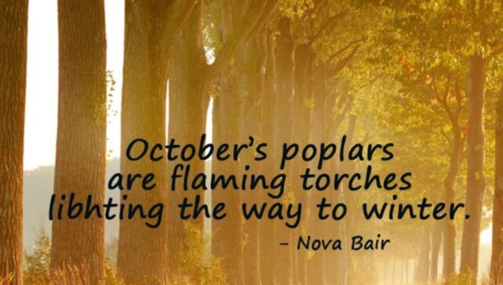 Best-October-Quotes-to-Warm-Your-Soul