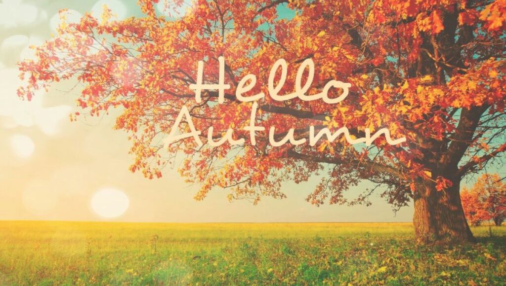 Celebrating-Autumn’s-Charm-with-Hello-October-Quotes