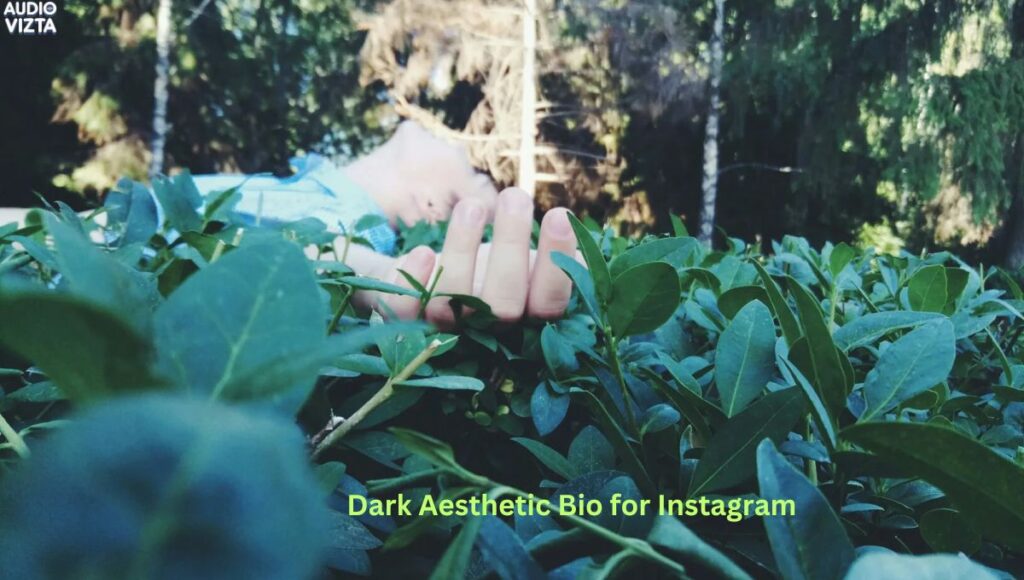 Dark Aesthetic Bio for Instagram